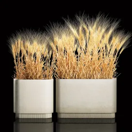 Plant collection 2